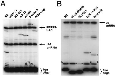 FIG. 4