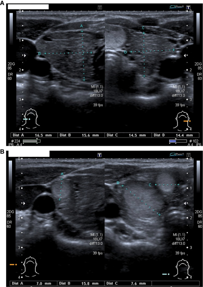 Figure 1