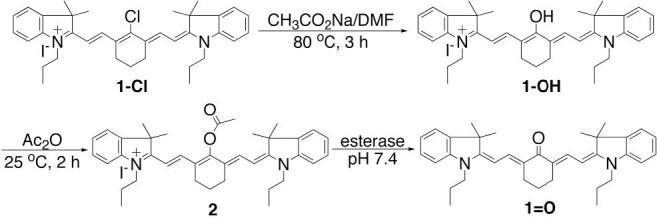 Scheme 2