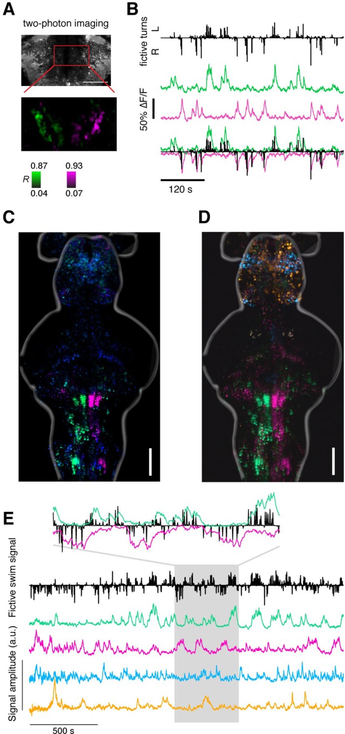 Figure 2—figure supplement 2.