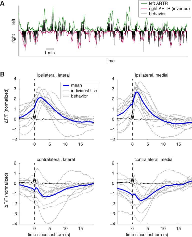 Figure 2—figure supplement 3.