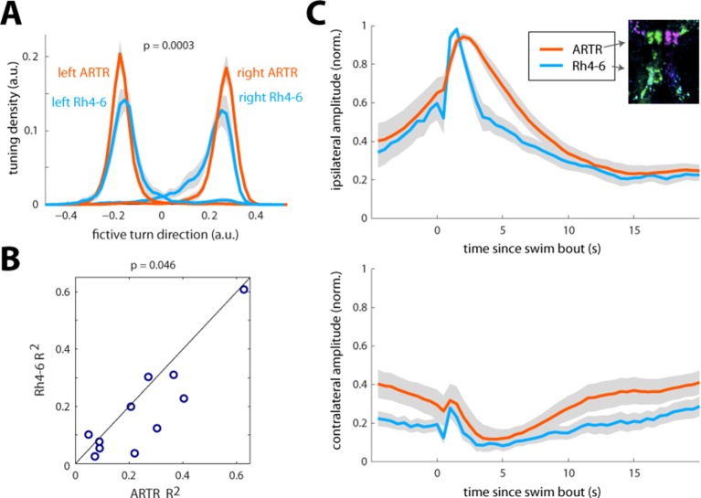 Figure 3—figure supplement 3.