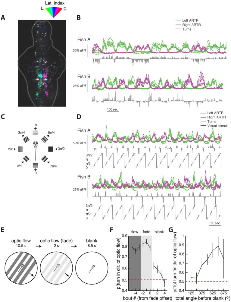 Figure 5—figure supplement 3.