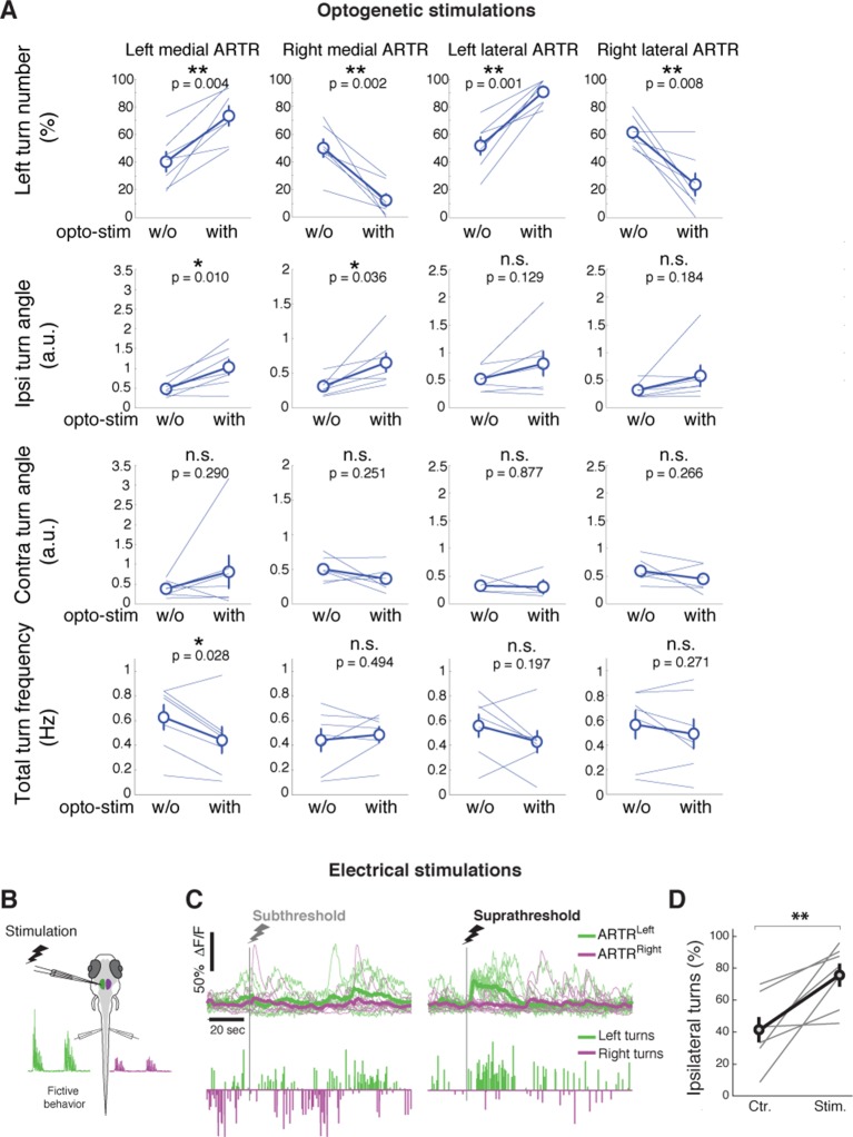 Figure 4—figure supplement 1.