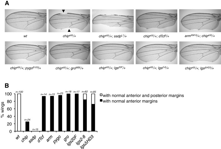 Figure 6—figure supplement 2.