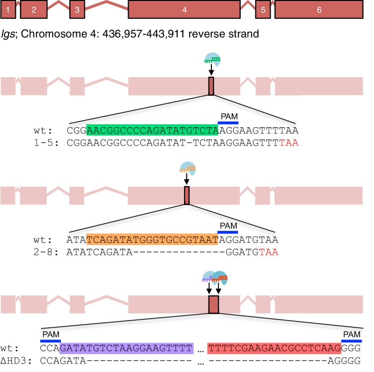 Figure 1—figure supplement 1.