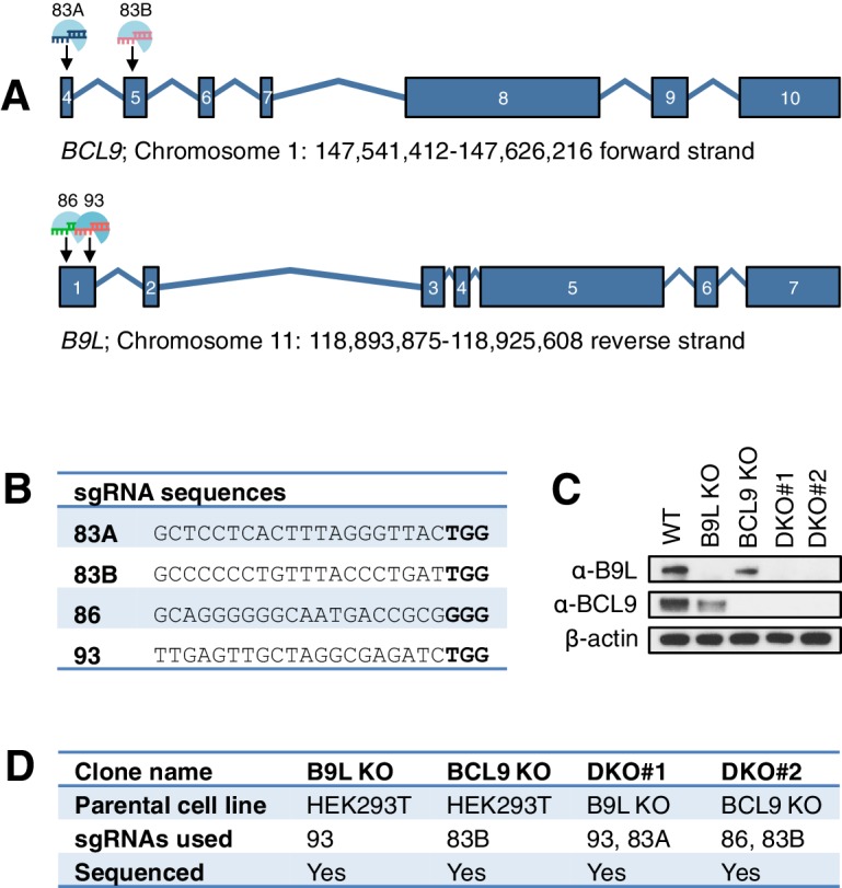 Figure 3—figure supplement 1.