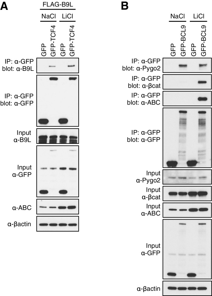 Figure 4—figure supplement 3.