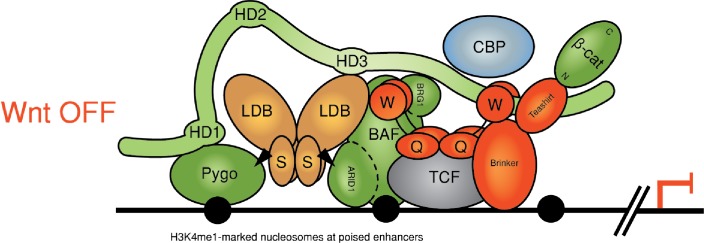 Figure 7—figure supplement 1.