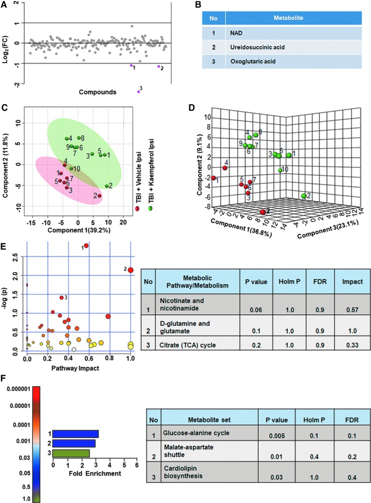 FIG. 11.