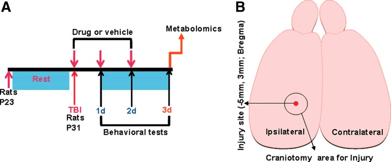 FIG. 1.