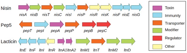 Fig. 6.