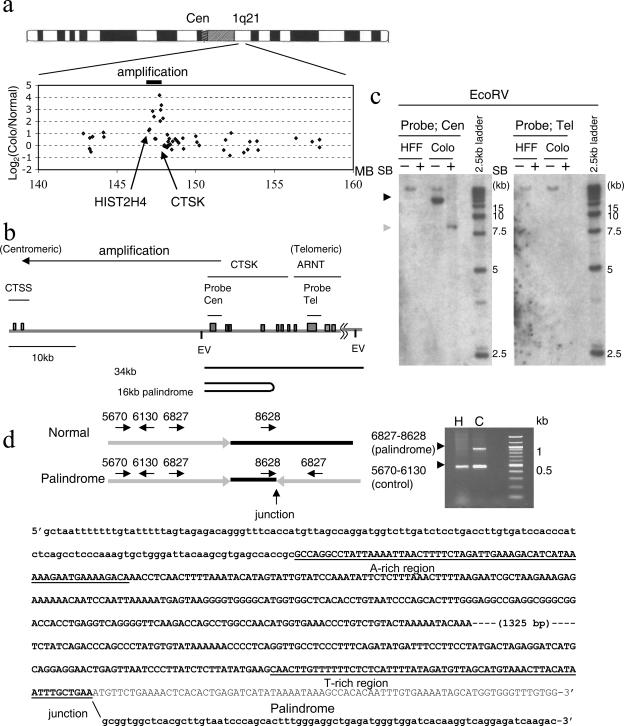 FIG. 4.