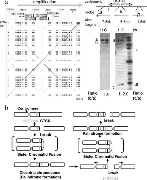 FIG. 5.