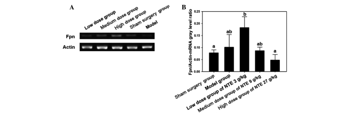 Figure 5