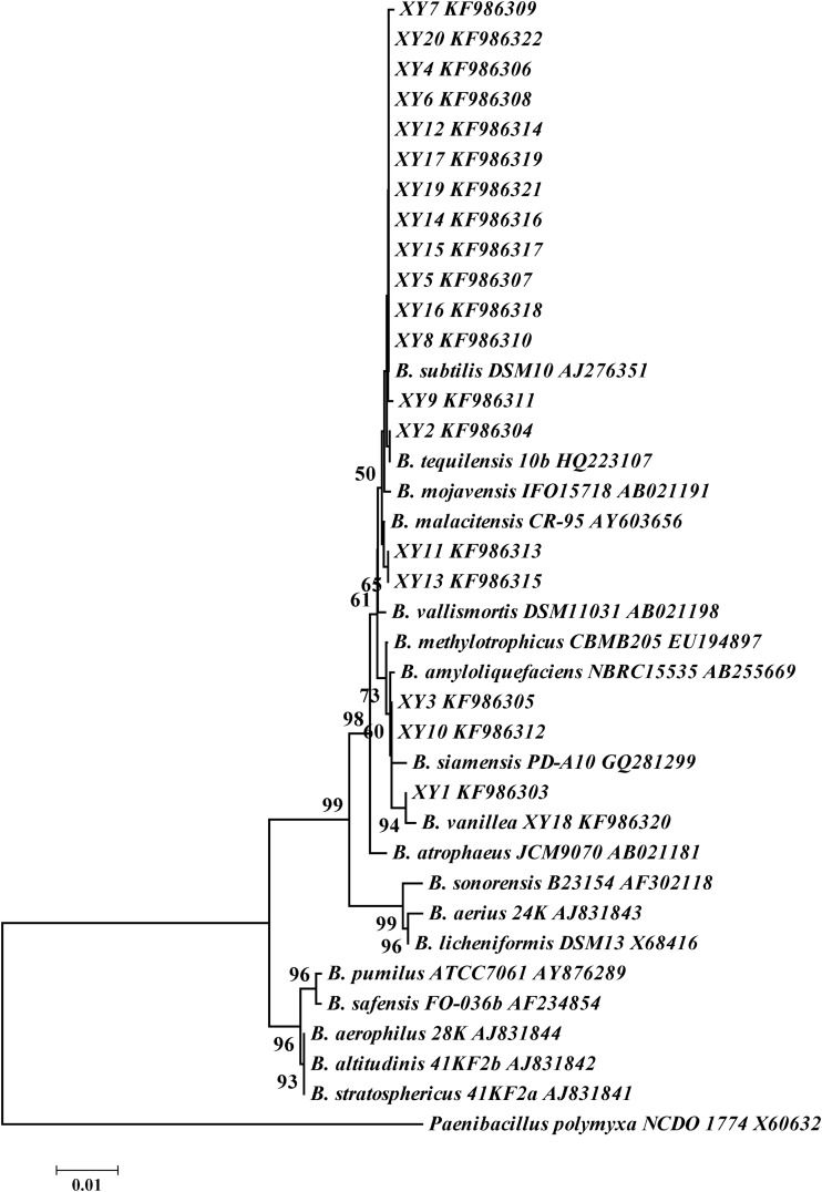 FIG 3