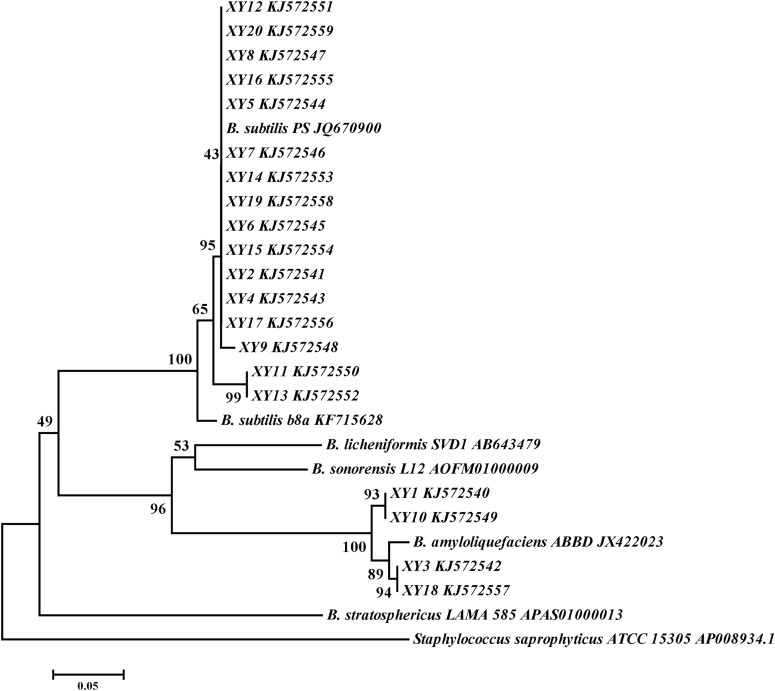 FIG 4