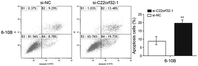 Figure 5.