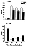Figure 1)