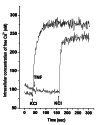 Figure 3)