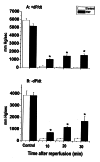 Figure 2)