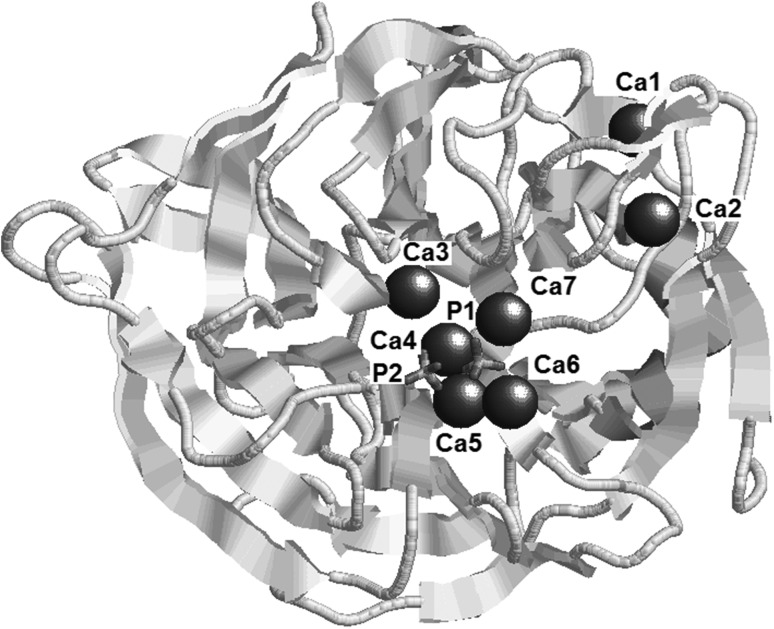 Fig. 3