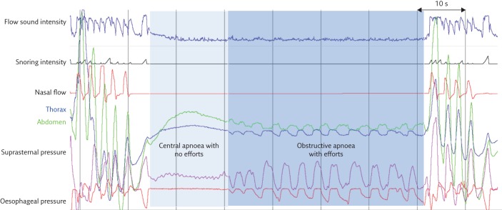 Figure 5