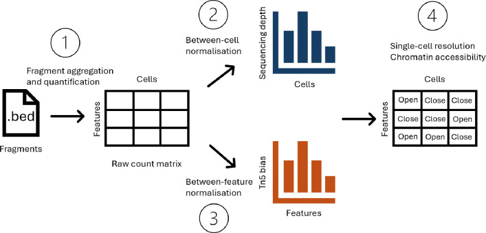 Figure 1: