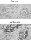 Fig 2.