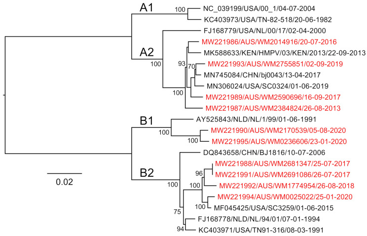 Figure 5