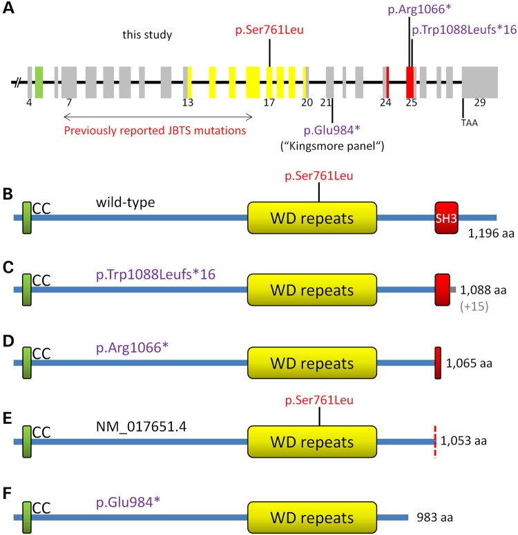 Figure 4.