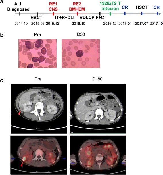 Fig. 4