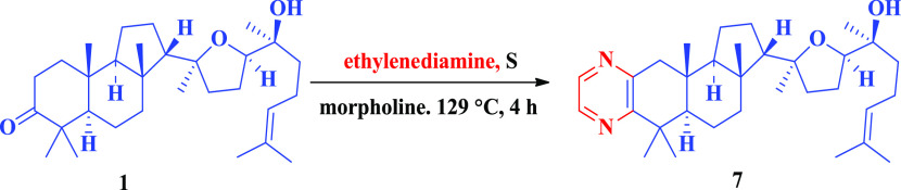 Scheme 6