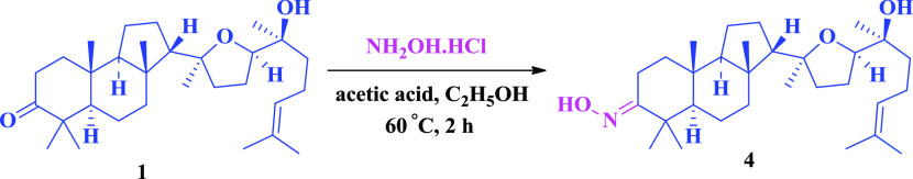 Scheme 3