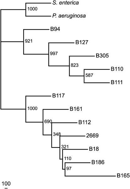 Figure 2.