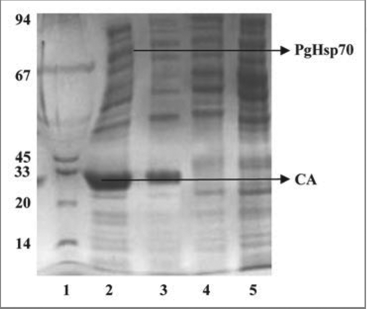 Figure 12