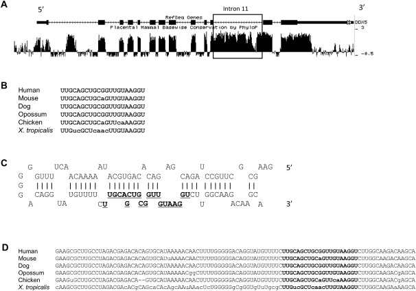 FIGURE 1.