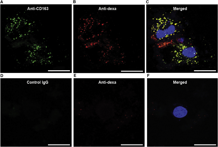 Figure 3