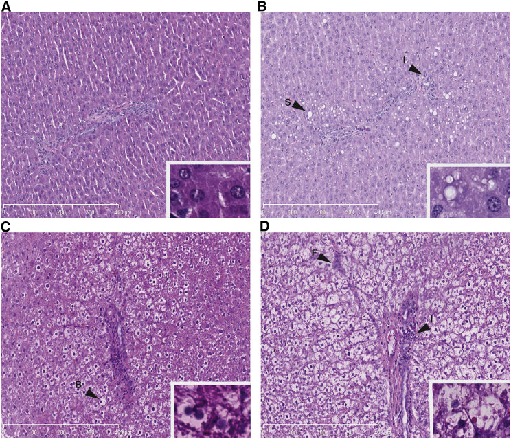 Figure 1