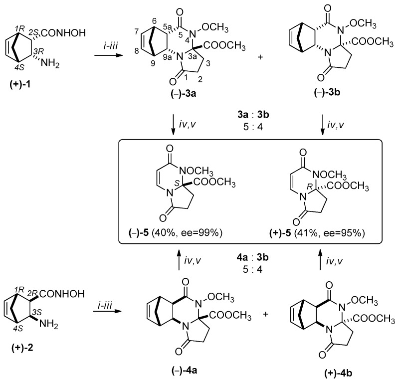 Scheme 2
