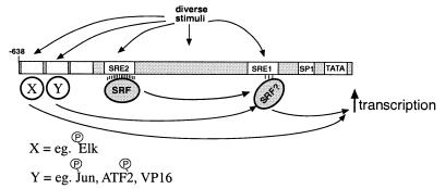 FIG. 6