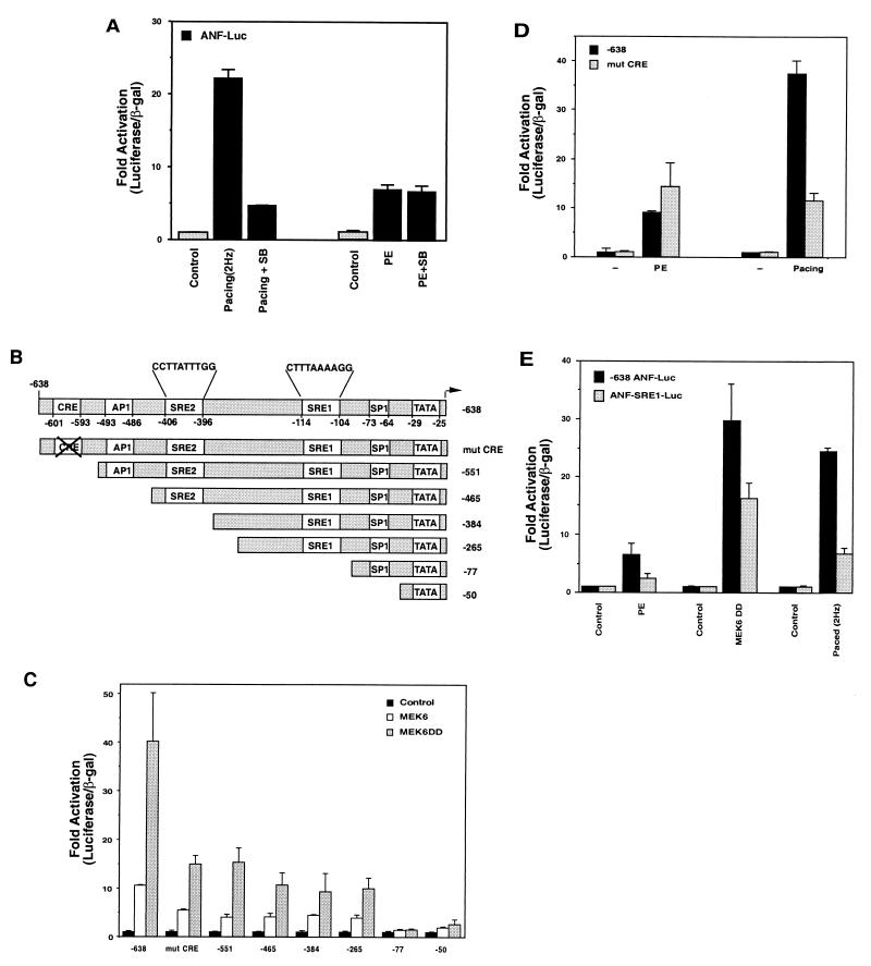 FIG. 1