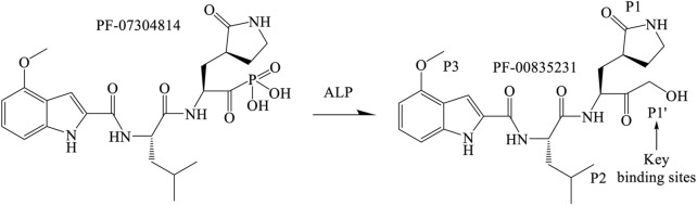 FIGURE 1