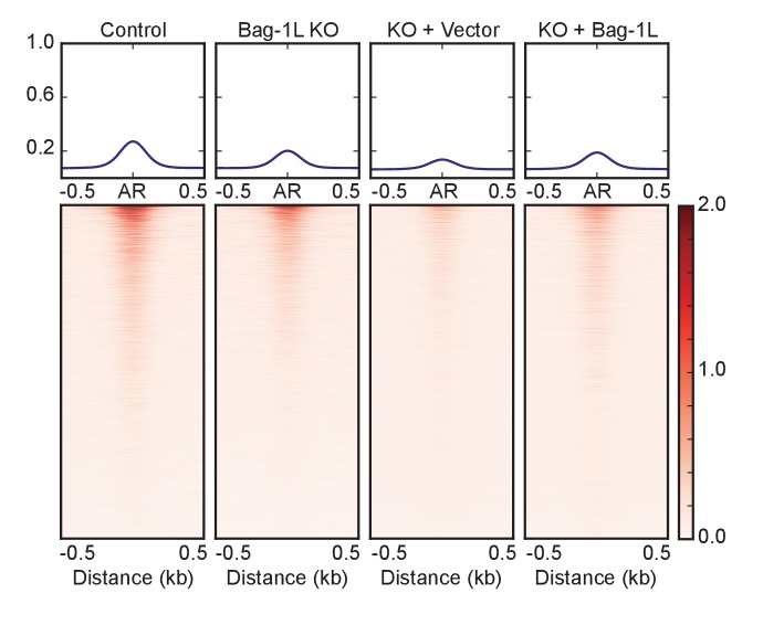 Figure 1—figure supplement 1.