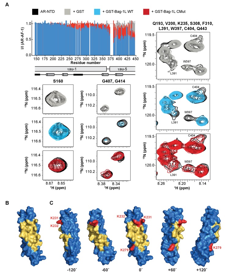 Figure 3.