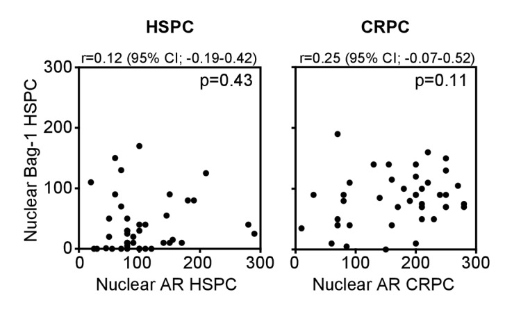 Figure 6—figure supplement 4.