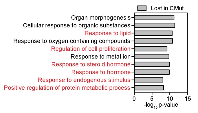 Figure 2—figure supplement 3.