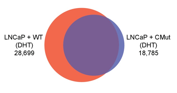 Figure 2—figure supplement 2.