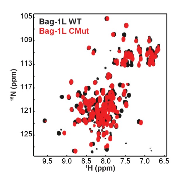 Figure 2—figure supplement 6.