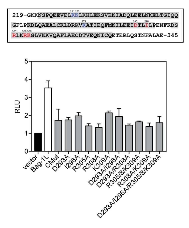 Figure 2—figure supplement 4.